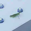 u客直谈实名认证李民庆