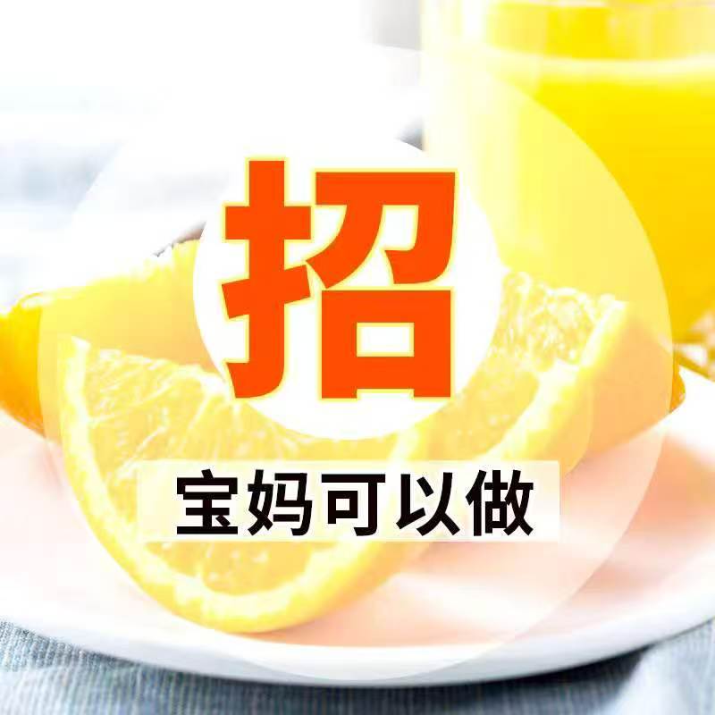 胡海燕品牌货源赣南脐橙源头果园，全国招分销代理，零囤货一件代发