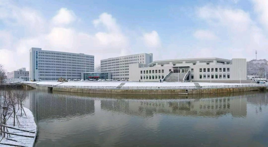 杨先生找合伙人