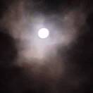 u客直谈实名认证王欣慧