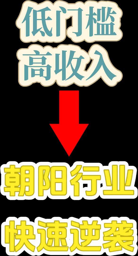 张先生其他供需低门槛高回报的朝阳行业