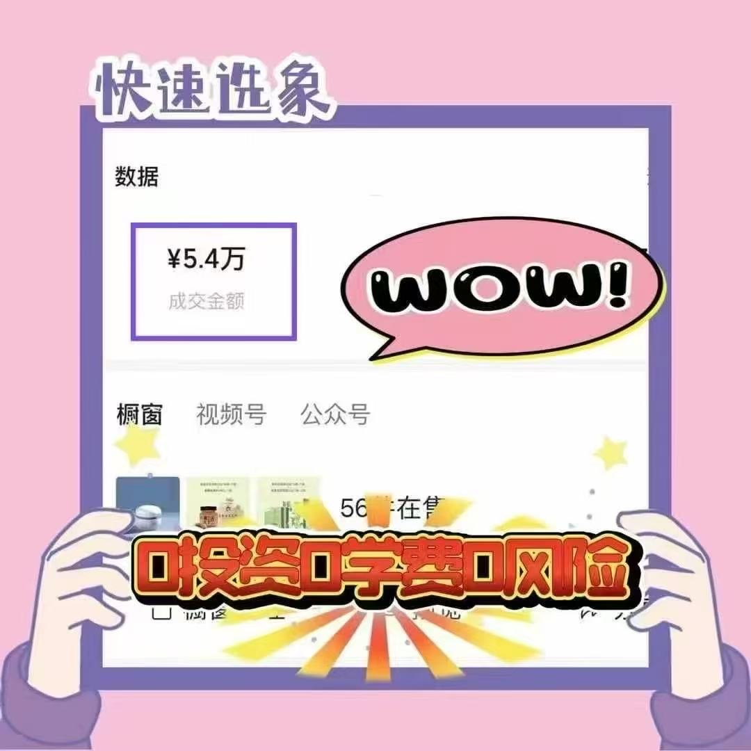 钟丽提供免费项目，无套路，手把手带，日结*