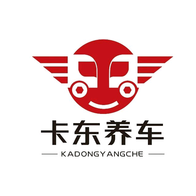 王雷地推项目卡东养车