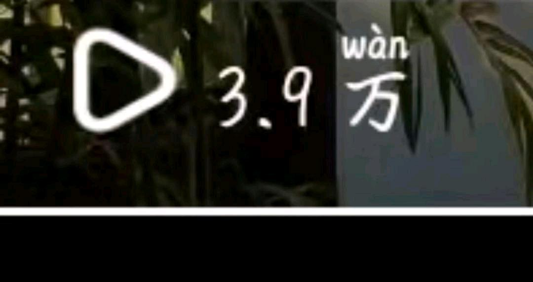 黄女士寻找小说推文项目合作，提供零基础教学与爆款模板支持