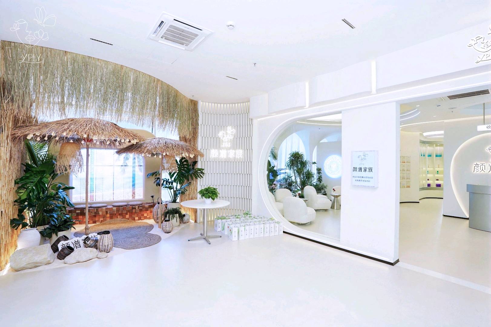 孙先生找合伙人