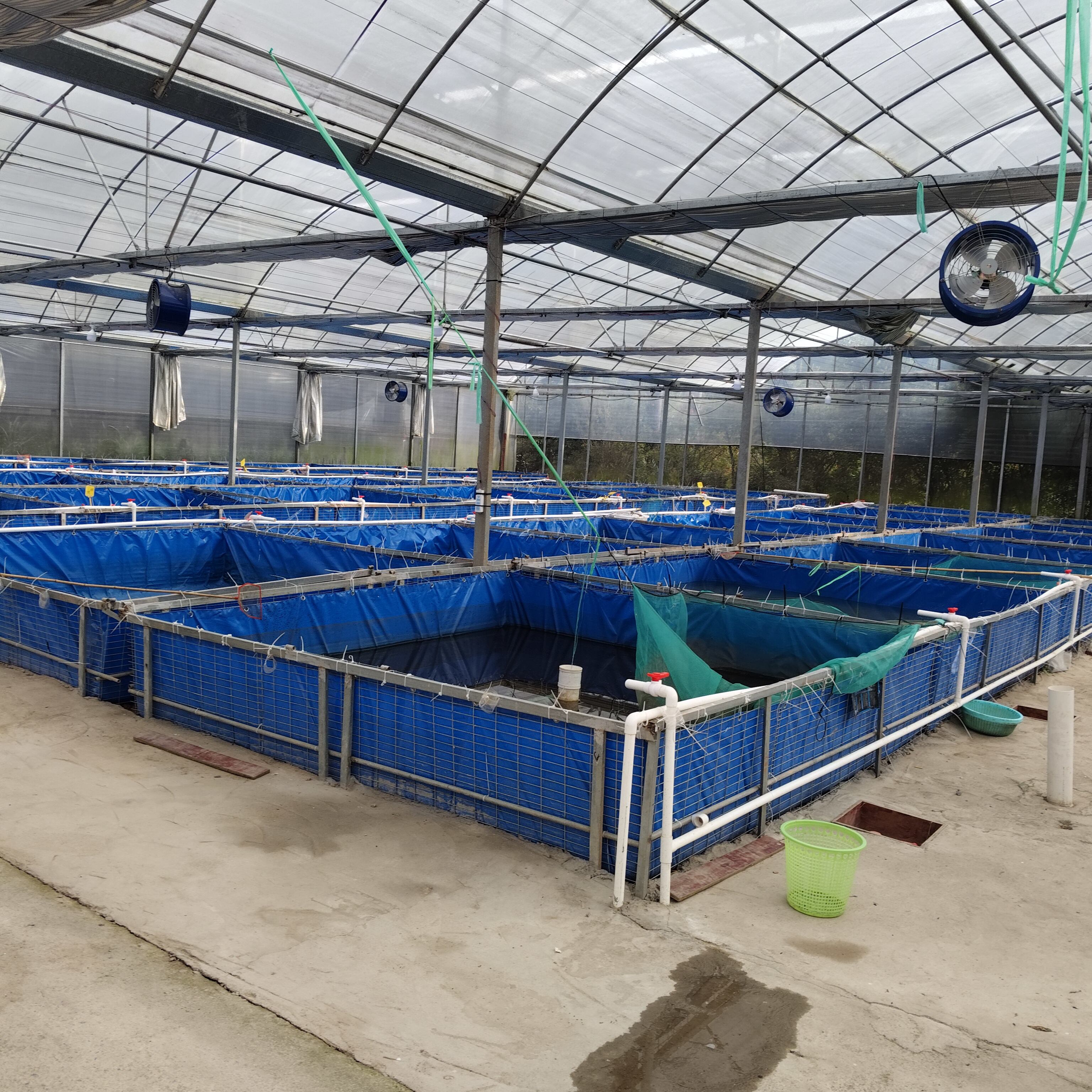 黄健专业渔场找合作经营伙伴