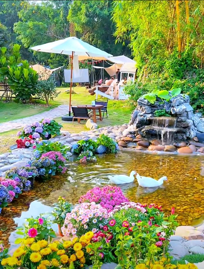 赵金花找合伙人