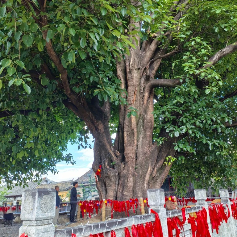 u客直谈实名认证尚先生