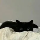 丁女士