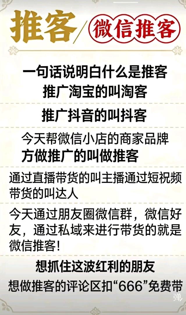 周女士品牌货源