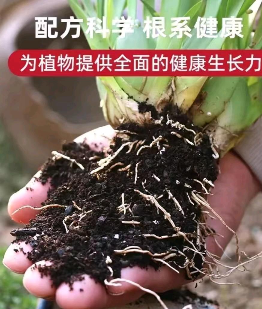 李先生找合伙人