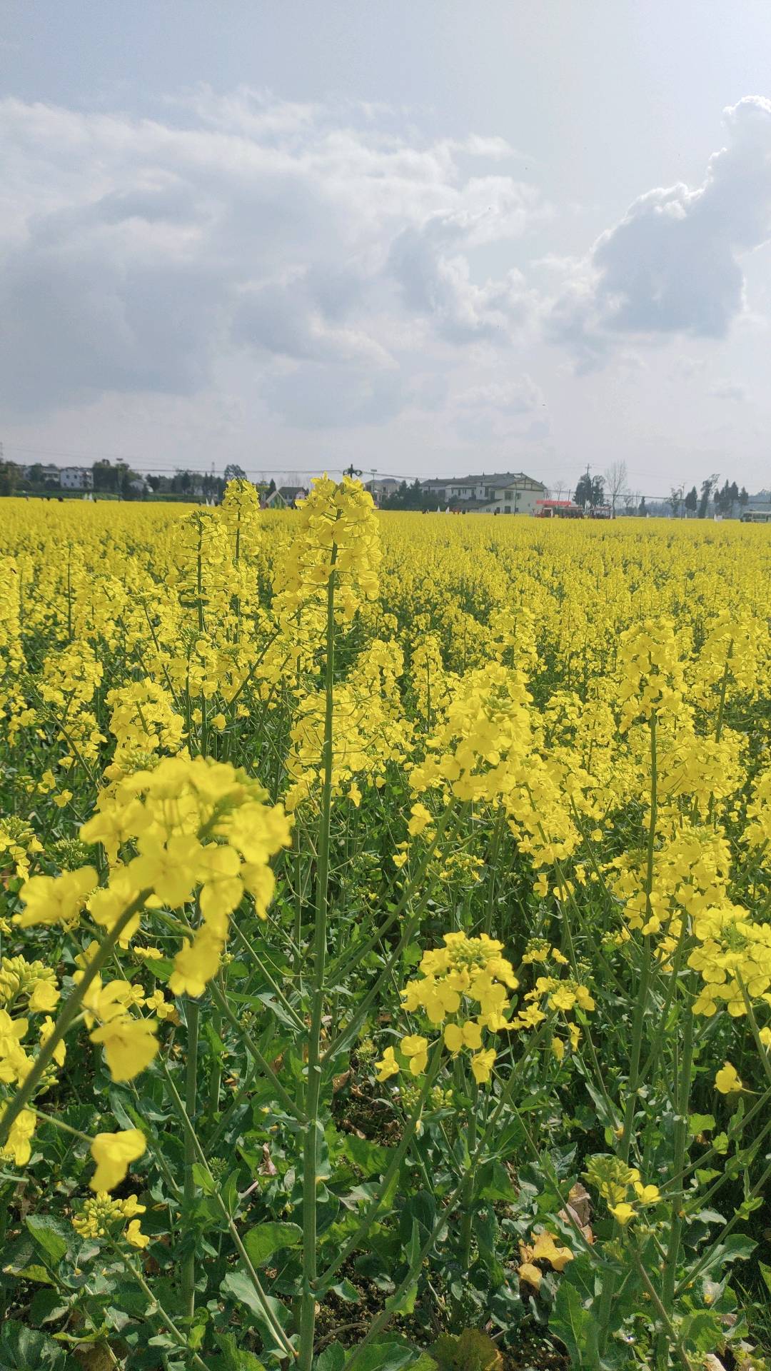 李燕推广团队接各种小程序app注册拉新，万人团队活跃用户