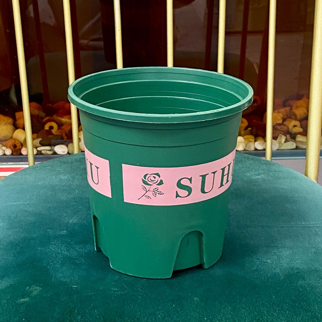 刘先生品牌货源花盆赛道  找网店 一件代发 及供货