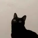 郭福硕