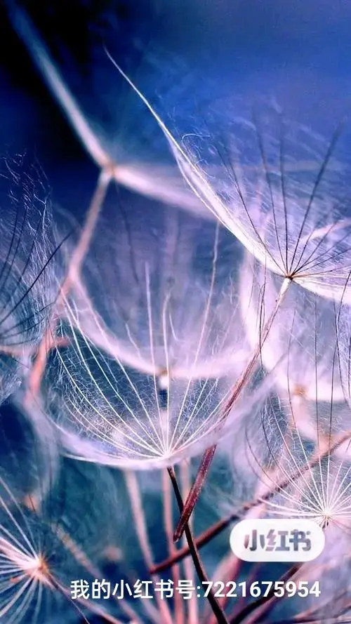 u客直谈实名认证吴先生