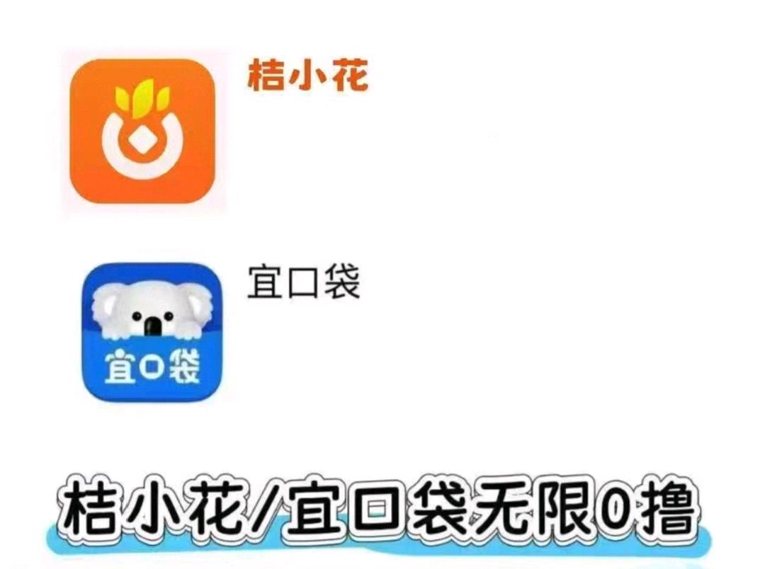 贺方琦地推项目桔小花宜口袋拉新