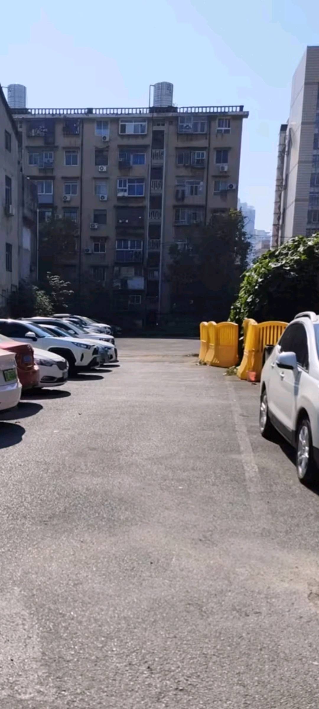 陆先生场地活动