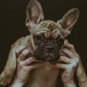 u客直谈实名认证郑肖飞