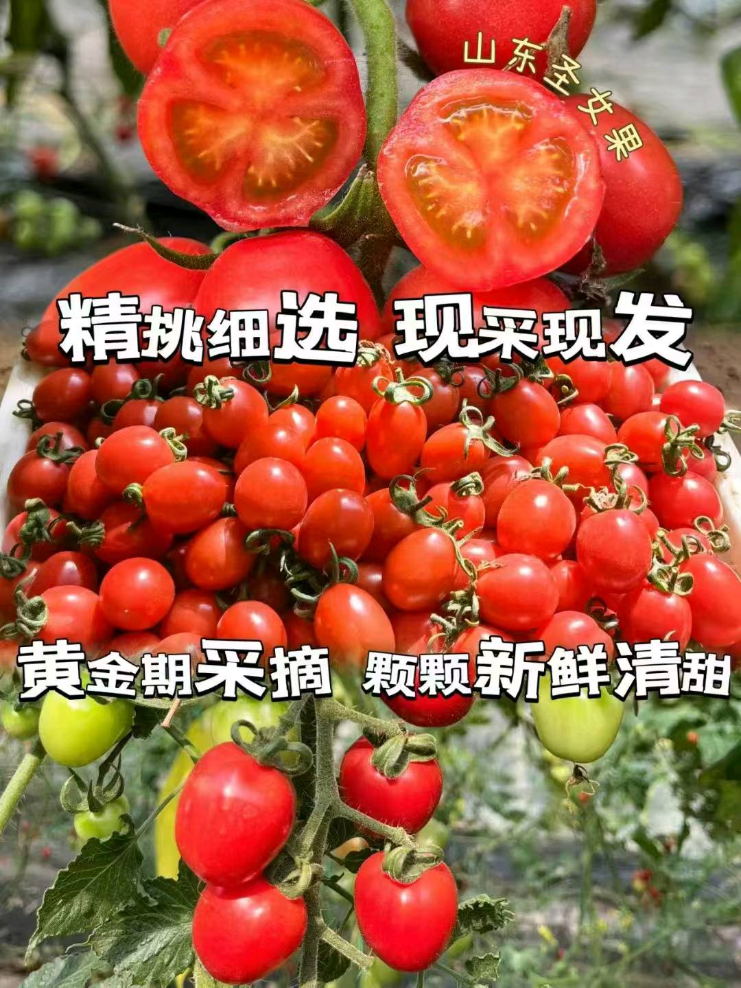 赵先生品牌货源