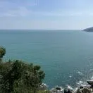 邵渤卿