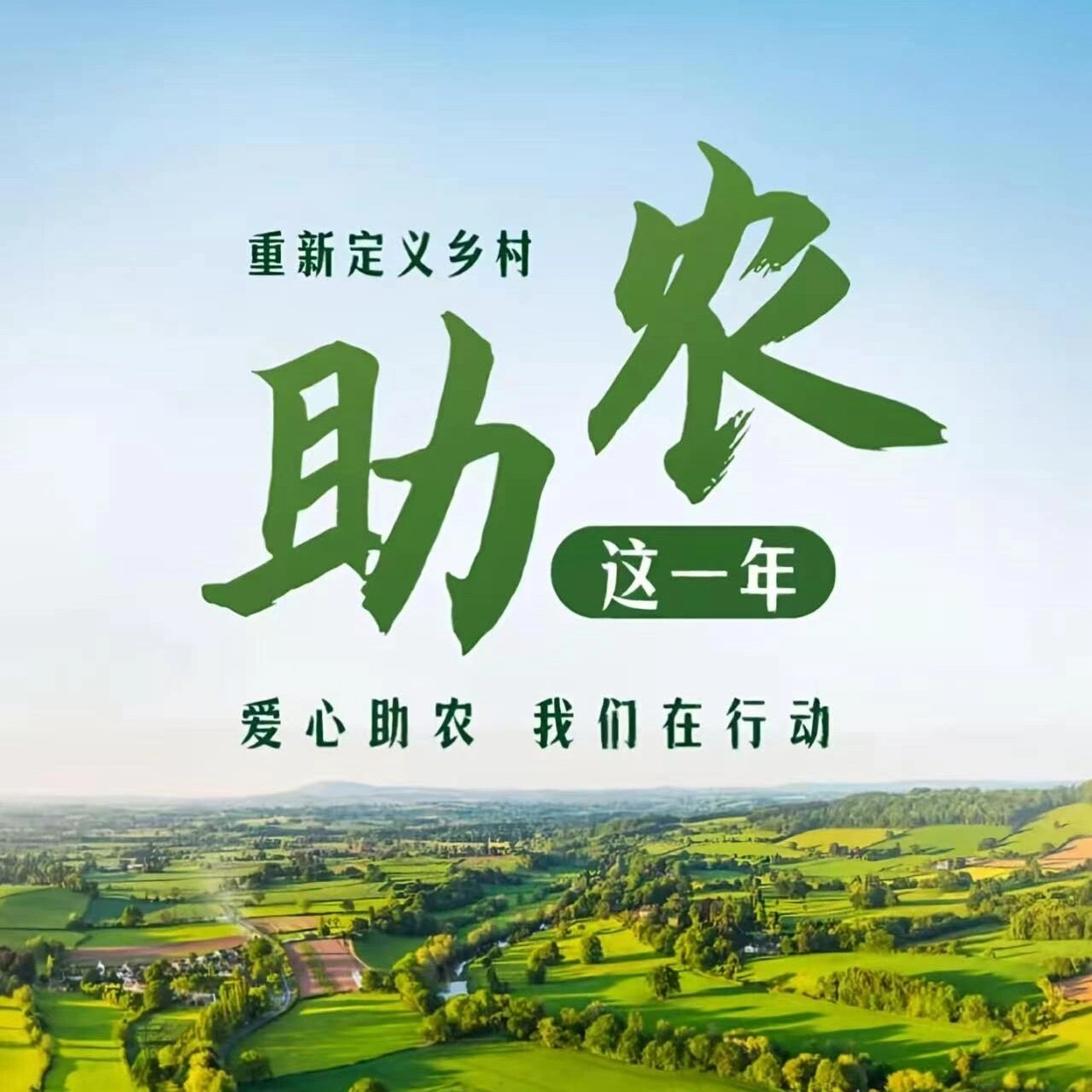 马先生