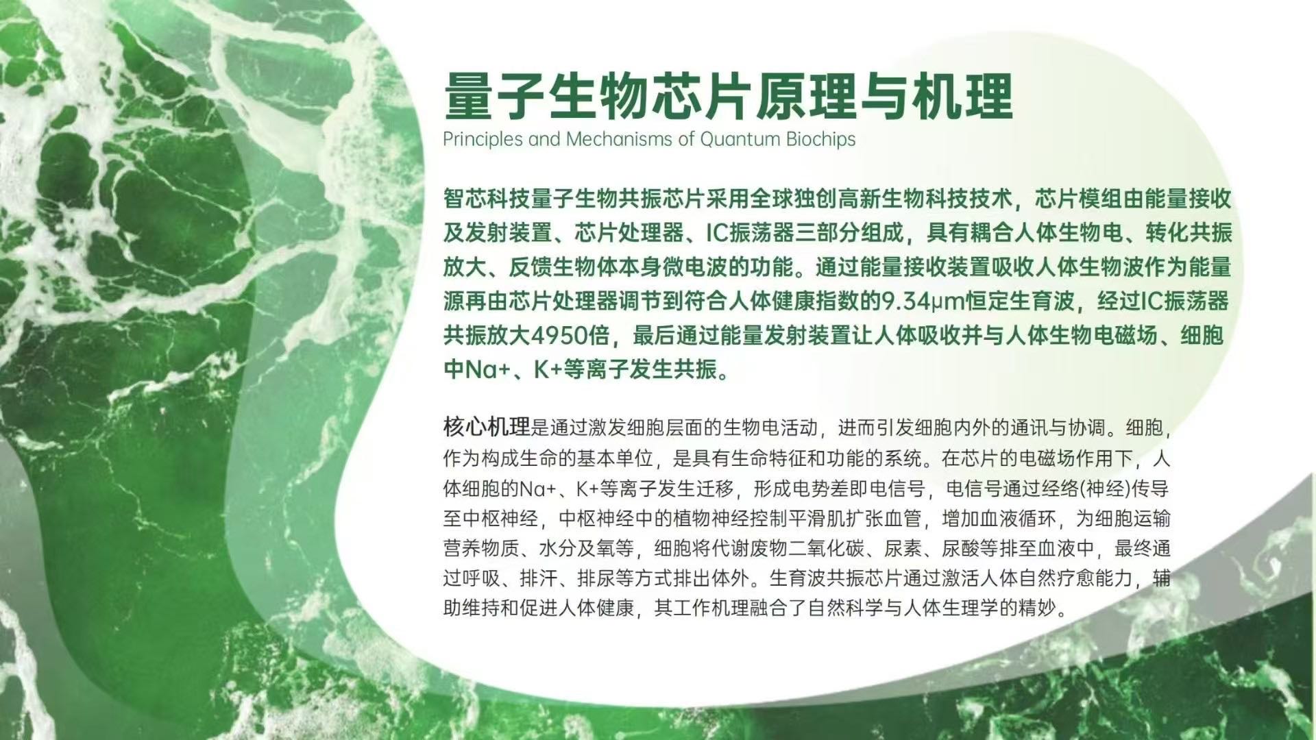 马雪飞地推项目