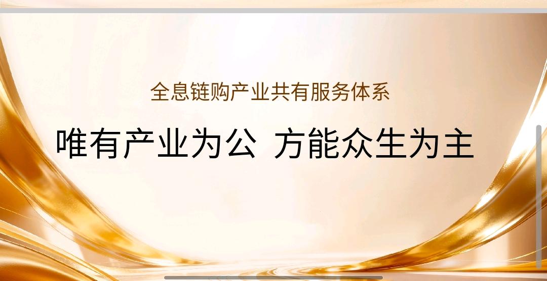 付发猛找合伙人