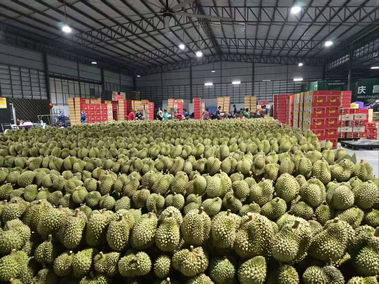 易女士其他供需