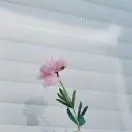 u客直谈实名认证申女士