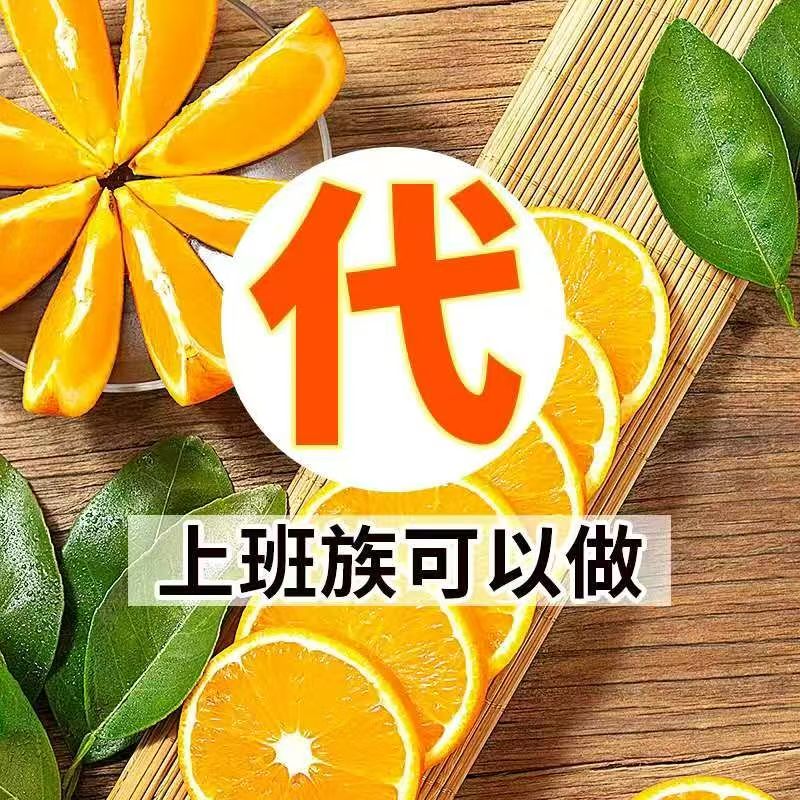 胡海燕赣南脐橙源头果园，全国招分销代理，零囤货一件代发