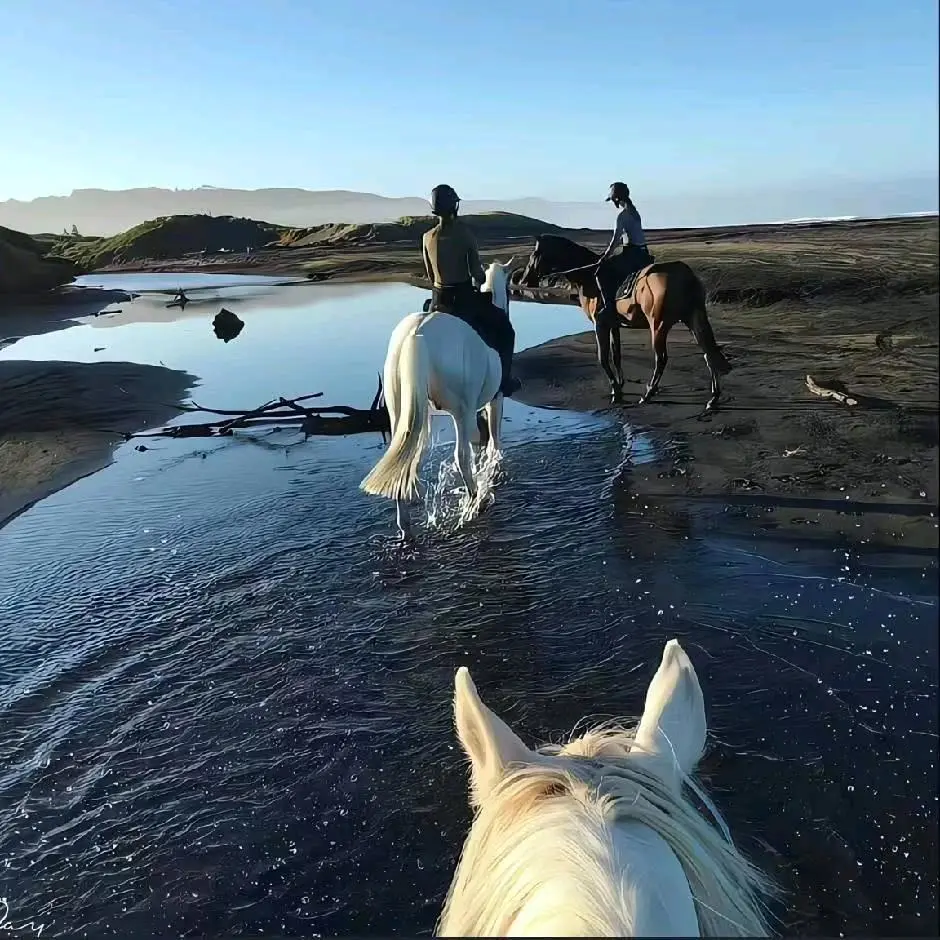 u客直谈实名认证王先生