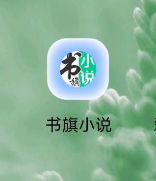 用户_yCKc4ryE地推项目书旗小说阅读