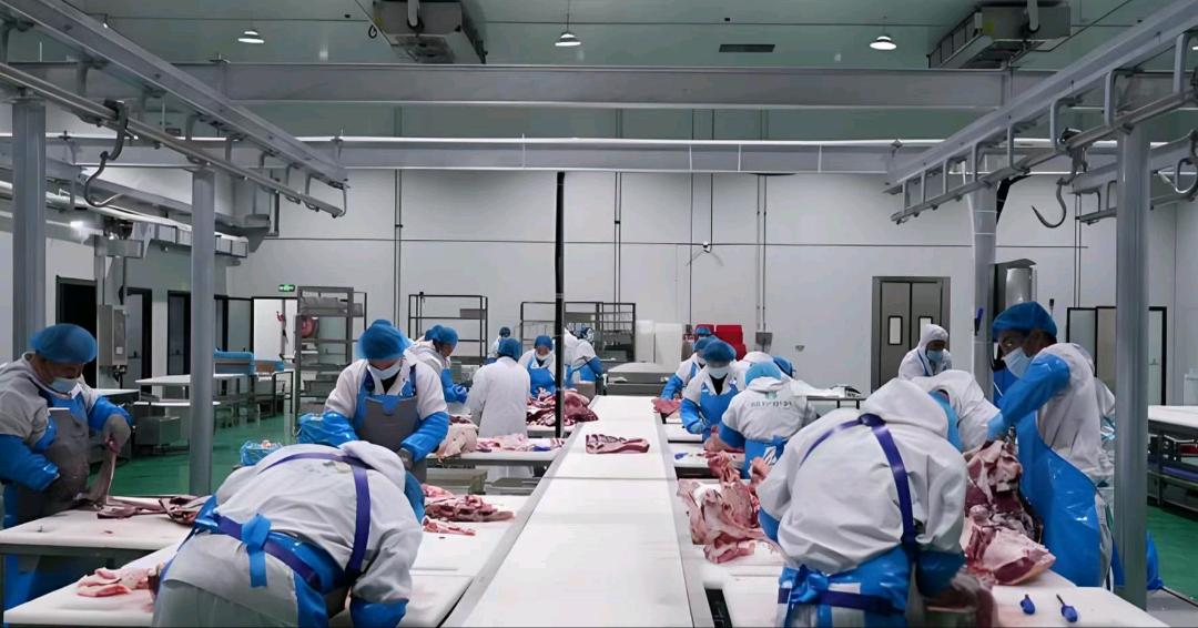 沈武元地推项目生鲜水果连锁店合作