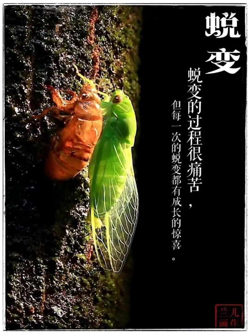 阳先生乙方信息群流量,量大,寻求一手甲方合作