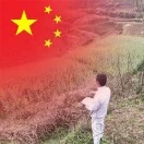 杨成