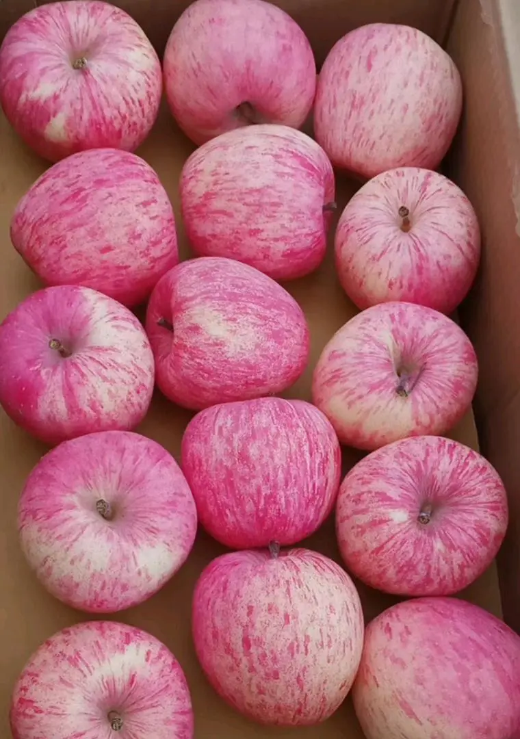 李向品牌货源