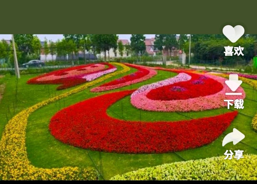 赵金花找合伙人*高端花海寻找合作