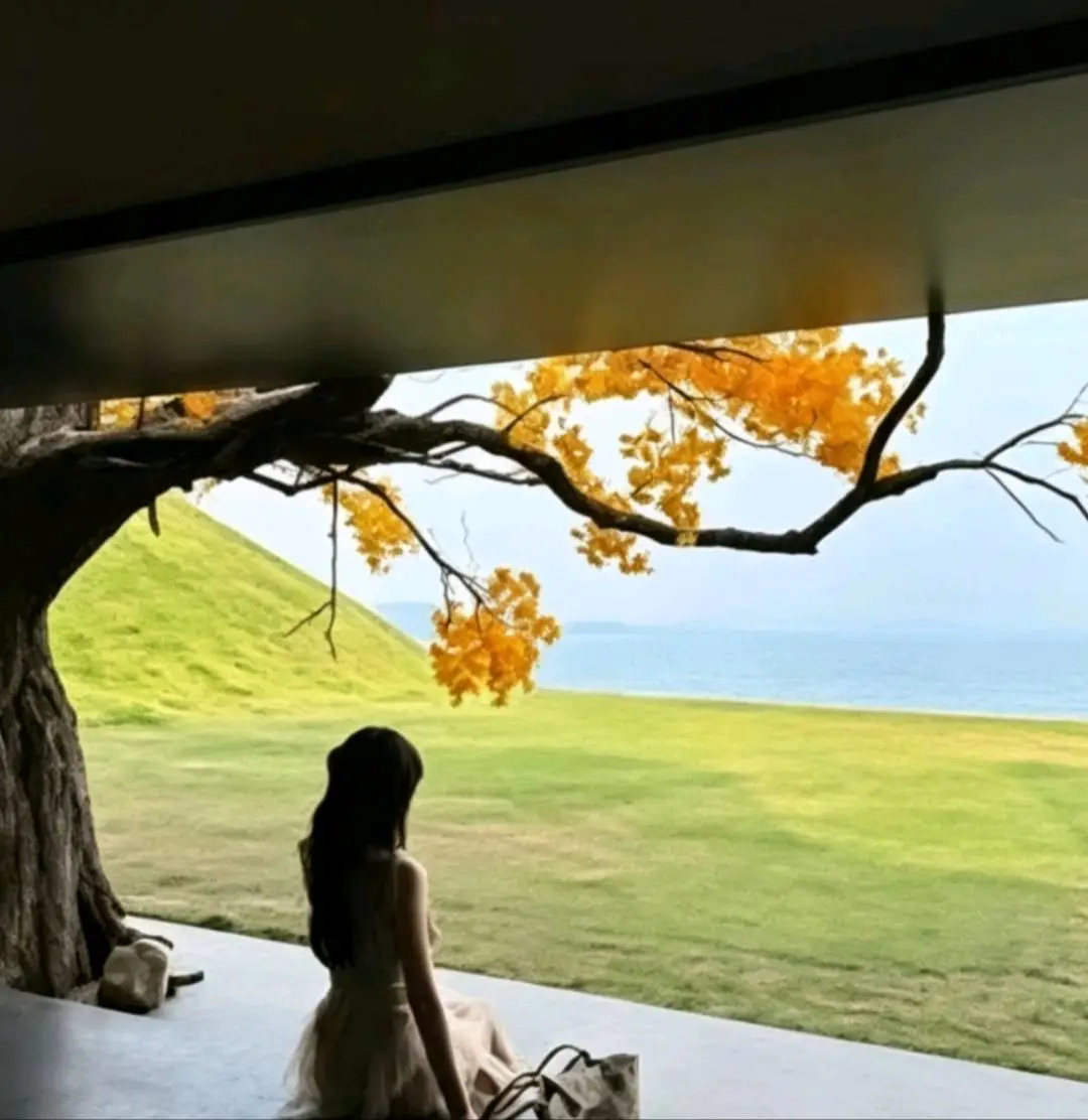 刘女士