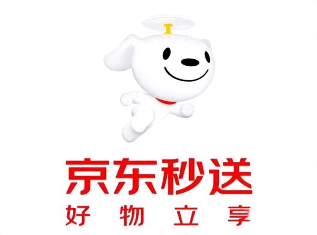 王先生地推项目京东秒送12线城市作业