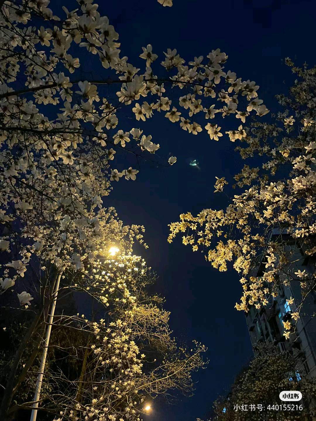 穆先生其他供需话费无忧,充值五折,官方直招,0投资,分享赚钱*