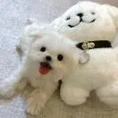 鲁宇航