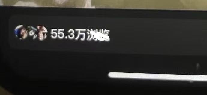 陈女士其他供需小说推文项目，简单易操作，只需要一部手机就可以完成任务