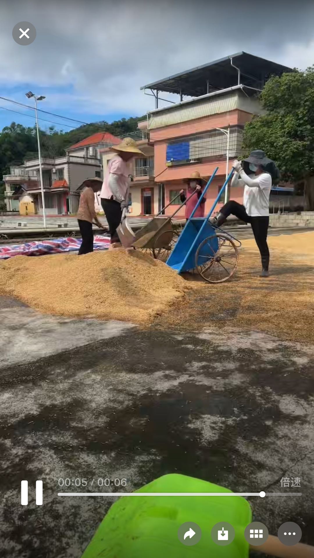 王先生其他供需一万3千斤左右稻谷，当饲料卖