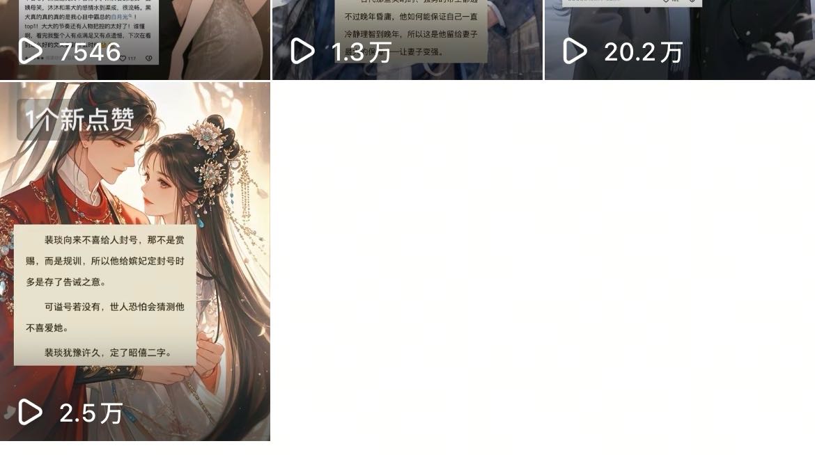 蔡木凤找合伙人小说推文项目，独立后台，日结，简单易学，今天发明天看到收益