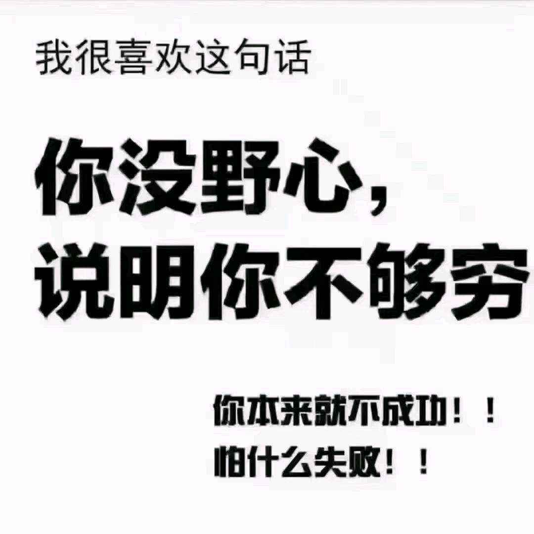 段先生其他供需pdd项目，全程陪跑，做长久生意