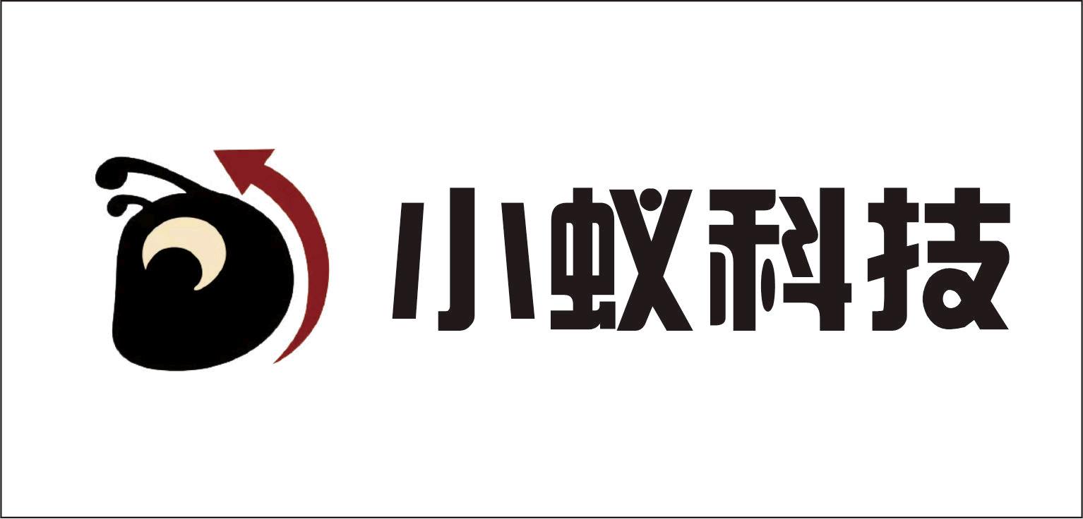 刘玉龙找合伙人小蚁科技海外问卷，10年运营经验，灵活就业新选择