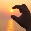 董先生头像