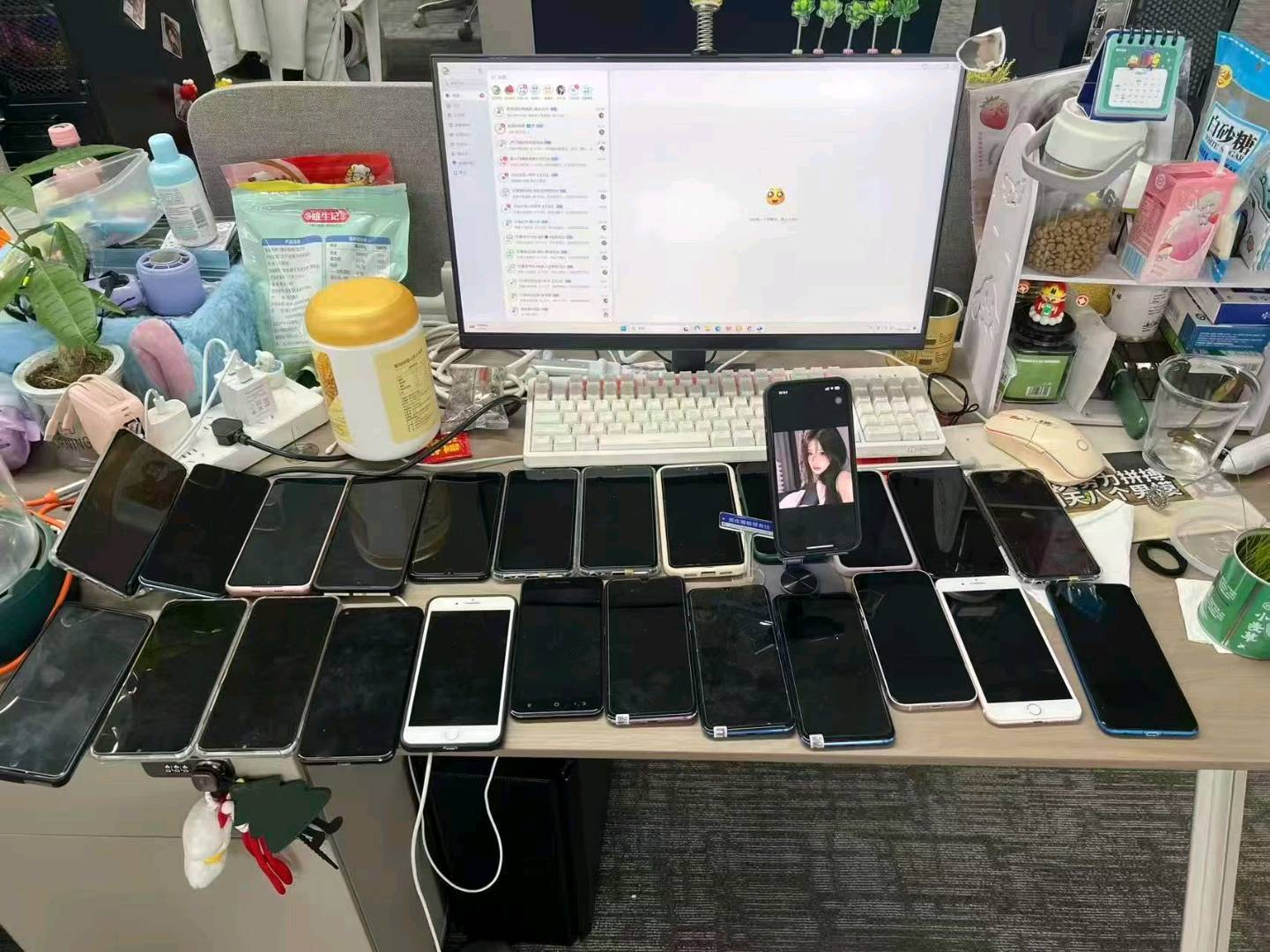 巴佳乐其他供需