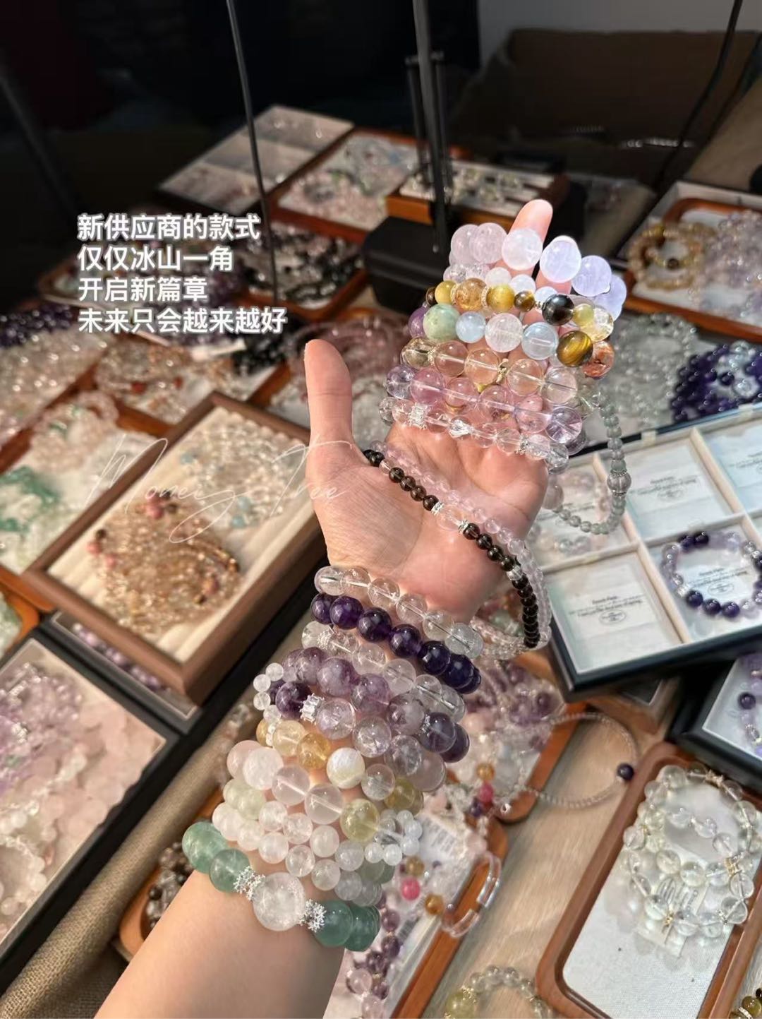 付云龙找合伙人Money tree水晶原创工作室