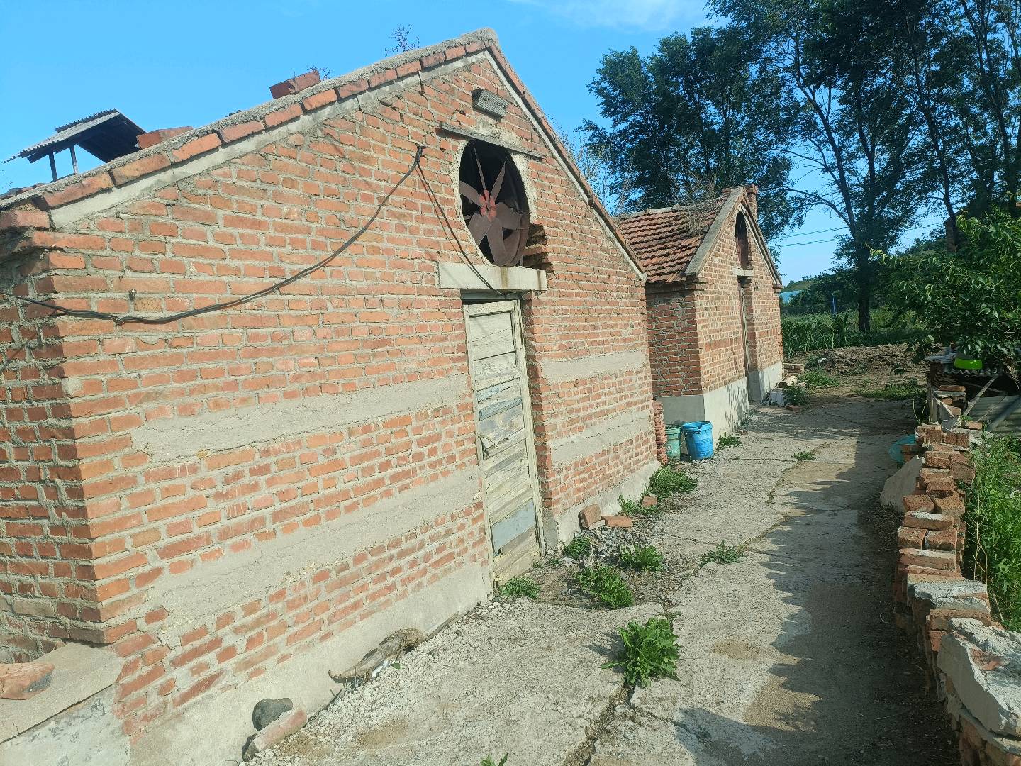 杨志刚场地活动